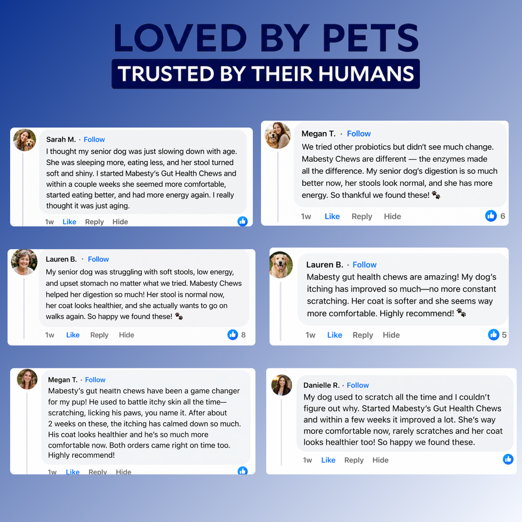 Probiotics & Enzymes for dogs – soft chews for gut health