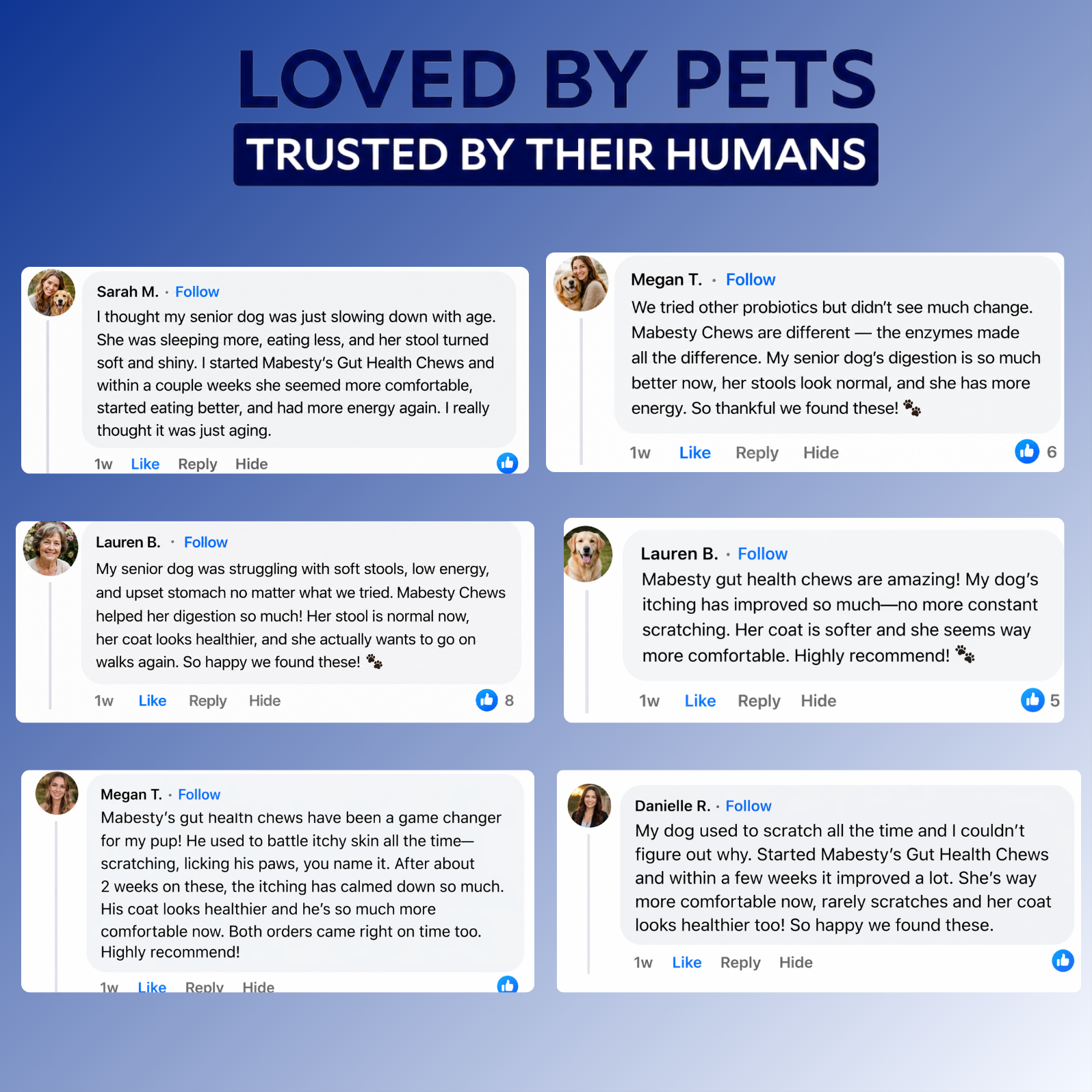 Probiotics & Enzymes for dogs – soft chews for gut health