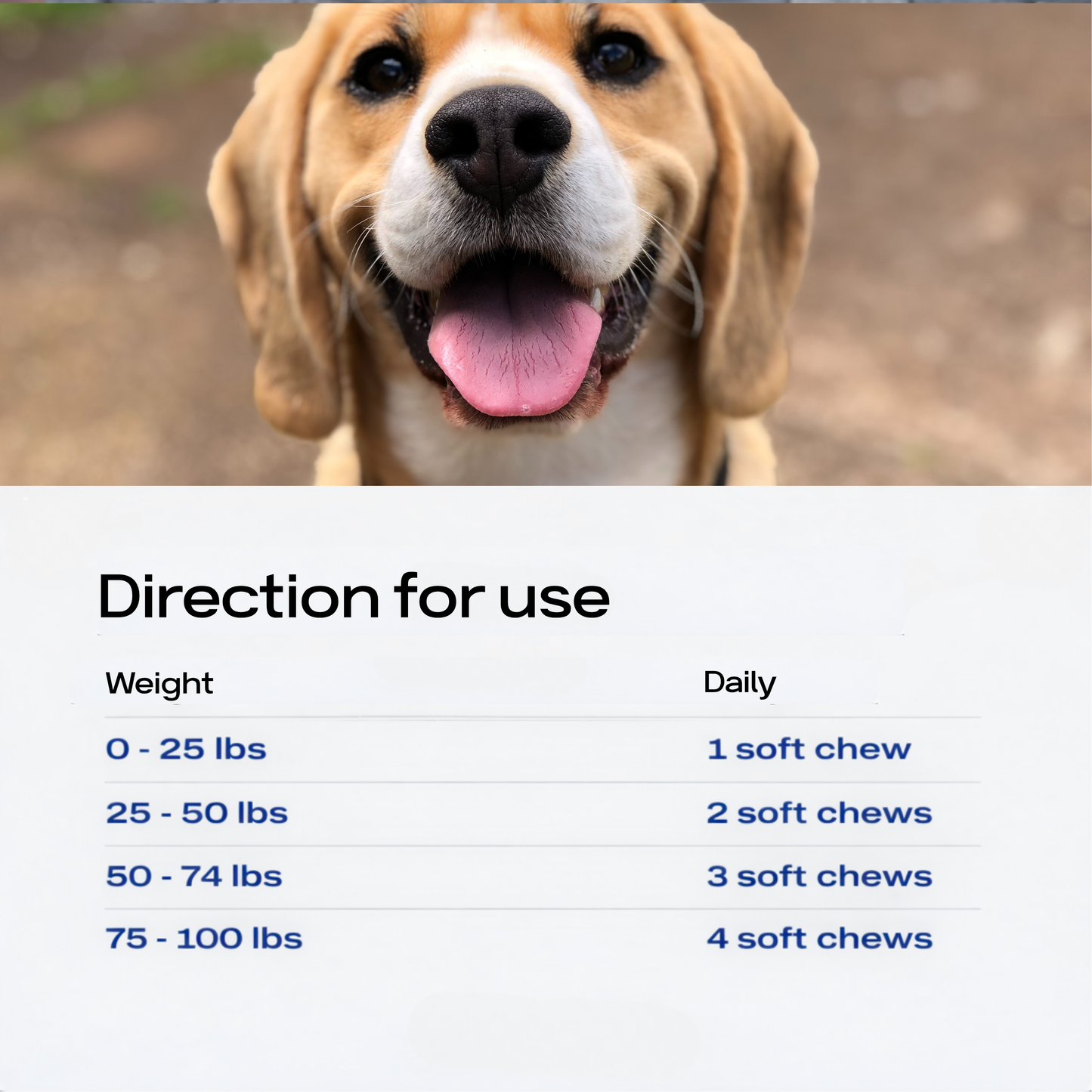 Probiotics & Enzymes for dogs – soft chews for gut health