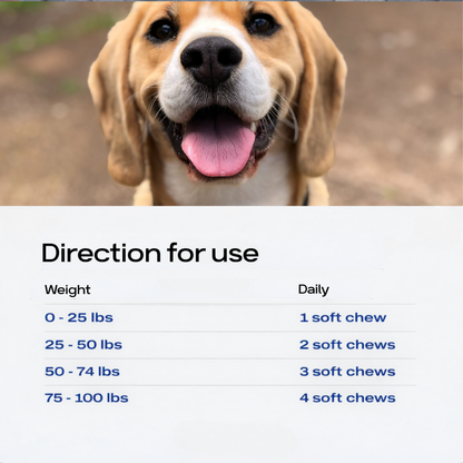 Probiotics & Enzymes for dogs – soft chews for gut health
