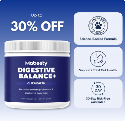 Probiotics & Enzymes for dogs – soft chews for gut health