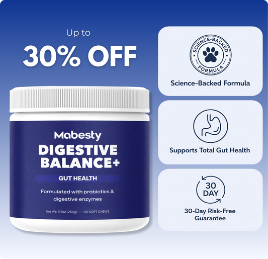Probiotics & Enzymes for dogs – soft chews for gut health